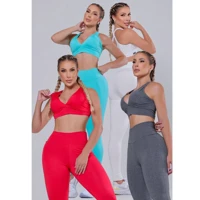 Imagem da promoção Promoçao Conjunto Fitness Basico Academia Treino forro duplo