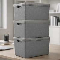 Imagem da promoção Kit 3 Caixas Organizadoras 22 Litros com Tampa Cesto Organizador em Plástico Jaguar