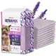 Tapete Higiênico Alta Absorção com Aroma de Lavanda para Cães Ultra Pads 80x60cm 30 und - Good Pad em oferta