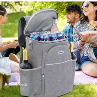 Imagem da promoção Mochila Térmica Bag Freezer Cooler Gelo Bolsa Bebidas Anti Vazamento Praia Camping Premium - 20 litr