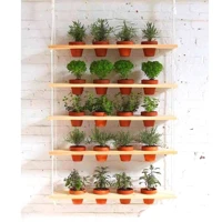 Imagem da promoção Jardim Suspenso Com 5 Prateleiras Verticais +brinde 20 Vasos