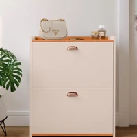 Imagem da promoção Sapateira Multiuso Organizador Calçados Hall Entrada Closet Banquinho 21 Pares Sapato Organizadora