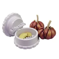 Imagem da promoção Triturador de Alho