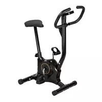 Imagem da promoção Bicicleta Ergométrica Vertical Gallant Trainer GBE1HBTA-PT