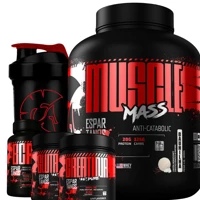 Imagem da promoção Kit Suplemento Hipercalórico Muscle Mass + Bcaa 3:1:1 + Creatina + Glutamina + Shaker - Espartanos