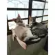 Janeleira Prateleira De Janela Para Gatos Ronroneria - Sem furar Parede em oferta