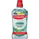 Enxaguante Bucal Colgate Plax Fresh Mint 1000Ml Promo Leve 1000Ml E Pague 700Ml em oferta