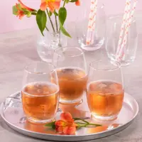 Jogo de Copos de Vidro 6 Peças 465ml Nadir - SM Aruba em oferta na Magazine Luiza