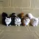 Simulação Fofa De Brinquedos De Pelúcia De Gato Gatinho Modelo Falso Animais Realistas Para Crianças em oferta