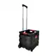 Carrinho de Compras Multiuso Cesto Transporte Dobrável 25kg Best em oferta