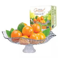 Imagem da promoção Fruteira Saladeira De Vidro Para Mesa Gourmet Suporte Fruta - Ruvolo