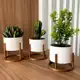 Trio de Vasos Cachepot com Suporte Para Cactos ou Suculentas em oferta