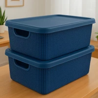 Imagem da promoção Kit 2 Caixas Organizadoras com Tampa Cesto Grande em Plástico 5 Litros em Promoção Jaguar