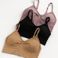 Imagem da promoção Kit 3 Sutiã Alcinha Com Bojo Removível Reforçado - Sutia Import