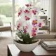 Arranjo de Orquídea Artificial Com Vaso Barca Luxuoso em oferta