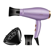 Imagem da promoção Secador de Cabelo 110/220v 3500W Bico Modelador e Difusor de Calor / Potente