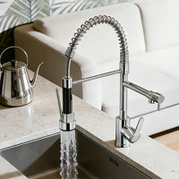 Imagem da promoção Torneira De Cozinha Gourmet Alça Única Com Extensor De Spray Tubo De Água Flexível Superior Prateado
