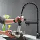 Torneira Cozinha Gourmet Monocomando Com Spray Extensor-preto em oferta