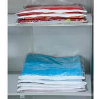 Imagem da promoção Kit 10 Organizadores para lençol 45 X 37 De Pvc Com Ziper