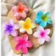Kits 12 Peças Grampos piranha De Cabelo Flor De Feriado De Praia Barrettes em oferta