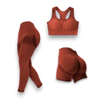 Imagem da promoção Kit 3 Peças Top + Short + Calça Feminino Canelado Poliamida Grossa Esportivo Importado
