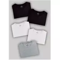 Imagem da promoção Kit Com 5 Camisetas Masculinas Básicas - Hering