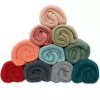 Imagem da promoção Manta Cobertor Queen 220x240cm Microfibra Soft Macia Fleece Camesa - Emcompre