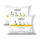 Kit 2 Travesseiros 70x50 Antialérgico Lavável Fibra Siliconada Toque de Pluma de Ganso Oaktex Cor Br em oferta