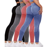 Imagem da promoção Kit 4 Calça Legging Levanta Bumbum Zero Transparencia