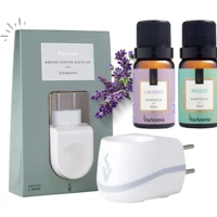 Imagem da promoção Kit Aromatizador Difusor de Essencia Porcelana Via Aroma com 2 Essencia Madeira Nobre