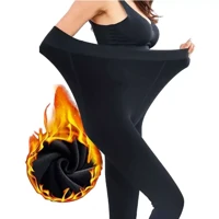 Imagem da promoção Meia Calça Clássica Fio 80 Opaca Feminina Plus Size Inverno Quentinha
