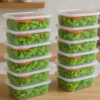 Imagem da promoção Kit 20 Potes 800ML Marmitas Microondas Freezer Transparentes BPA Free Organizador de Alimentos Plást
