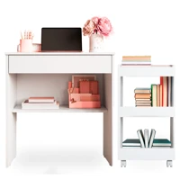 Imagem da promoção Escrivaninha Computador Notebook e Porta Livros e Utensílios para Escritório e Quarto