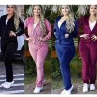 Imagem da promoção Conjunto feminino plush aveludado com zíper e bolso blusa e calça macio moletom moda inverno agasalh