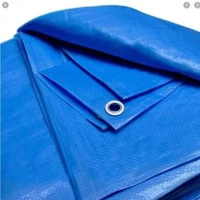 Imagem da promoção Lona 3x2 Azul Impermeavel Piscina Barraca Camping Telhado