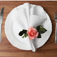 Imagem da promoção Kit 50 Guardanapo De Tecido 35x35 Para Mesa Posta Casamento Buffet Eventos