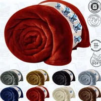 Imagem da promoção Manta Cobertor 2,00m x 1,8m Casal Microfibra Fleece Lisa