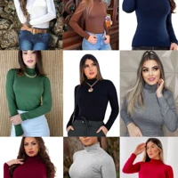 Imagem da promoção kIT 2 BLUSAS FEMININA MANGA LONGA CACHARREL GOLA ALTA SEGUNDA PELE VISCOLYCRA