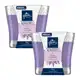 Kit 2 Vela Perfumada Relax Lavender Glade Home Fragrance 96g cada em oferta