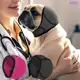 Protetor Ouvido para Cachorro (Tam. P ao G) em oferta