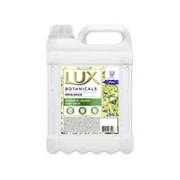 Imagem da promoção Sabonete Líquido para as Mãos Lux Botanicals - Erva-Doce 5L