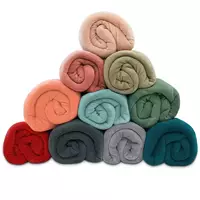 Imagem da promoção Manta Cobertor Casal 180x220cm Microfibra Soft Macia Fleece Camesa - Emcompre