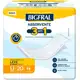 Absorvente Bigfral Plus Reg 20Un em oferta