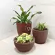 Kit 3 Vasos Jardim Polietileno Decorativos Flor ou Plantas 3D Diamante Nº1 Nº2 + Bacia Texturizada N em oferta