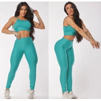 Imagem da promoção Conjunto Legging e Top Alcinha