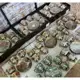 Xícara de café /cha kit com 6 conjunto (12 peças) de Cerâmica em porcelana em oferta