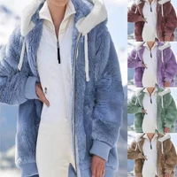 Imagem da promoção Novo Outono E Inverno Largo Pelúcia Zíper Com Capuz Casaco De Lã Feminino