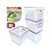 Imagem da promoção Organizador de Geladeira 3,8 Litros Cesto ou 2,8 Com Tampa Multiuso Alimento Verdura e Vegetal