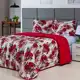 Coberdrom Edredom Casal Queen 400 Fios 3 Peças Estampado em oferta