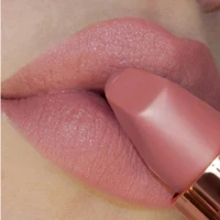 Imagem da promoção 6 Cores Baton Nude Matte Lipsticks À Prova D'água Batom De Longa Duração Pigmentos Vermelhos Cor-De-